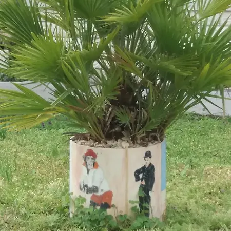 Apartman Meri Trogir